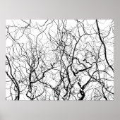 Zwart-witte fotografische Poster (Voorkant)