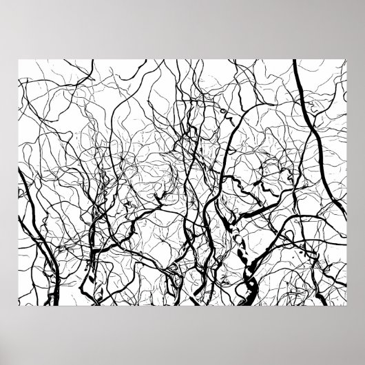 Zwart-witte fotografische Poster (Voorkant)