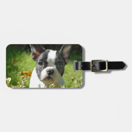 Zwart-witte Franse Bulldog Puppy Bagagelabel