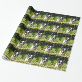 Zwart-witte Franse Bulldog Puppy Cadeaupapier