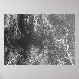 Zwart-witte gesilhoueteerde bomen poster