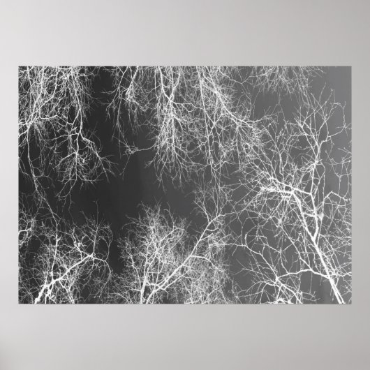 Zwart-witte gesilhoueteerde bomen poster (Voorkant)