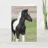 Zwart-witte gipspanner kaart (Voorkant)