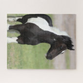 Zwart-witte gipspanner legpuzzel (Horizontaal)