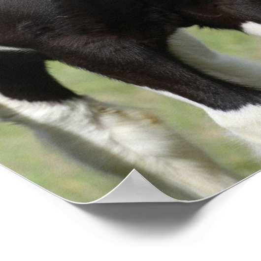 Zwart-witte gipspanner poster (Hoek)