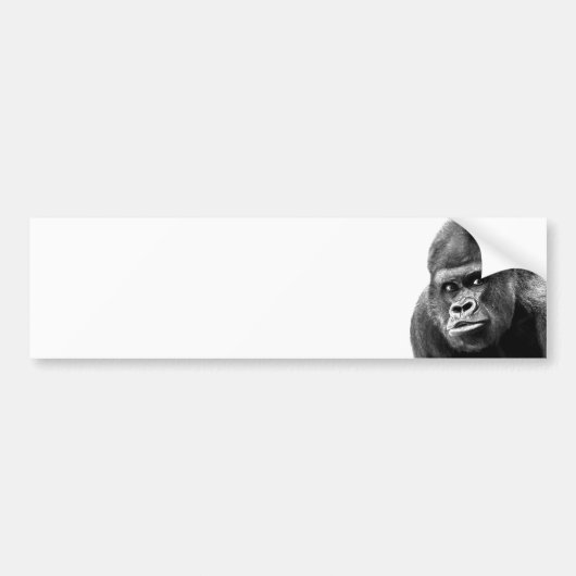 Zwart Witte Gorilla Bumpersticker (Voorkant)