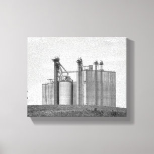 Zwart-witte graan op een Hill 8x10 Canvas Afdruk