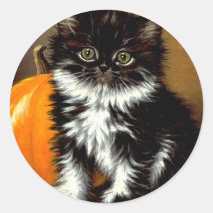  zwart-witte Halloween kat Ronde Sticker