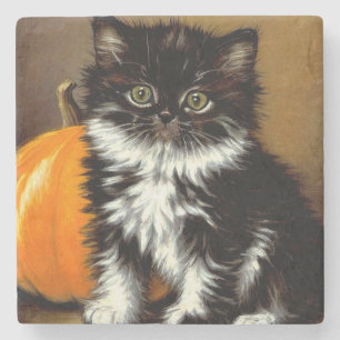 zwart-witte Halloween kat Stenen Onderzetter