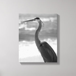 Zwart-witte haron op de strand 11x14 canvas afdruk