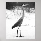 Zwart-witte haron op het strand van Sandy Poster (Voorkant)