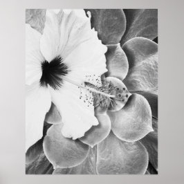 Zwart-Witte Hibiscus Poster