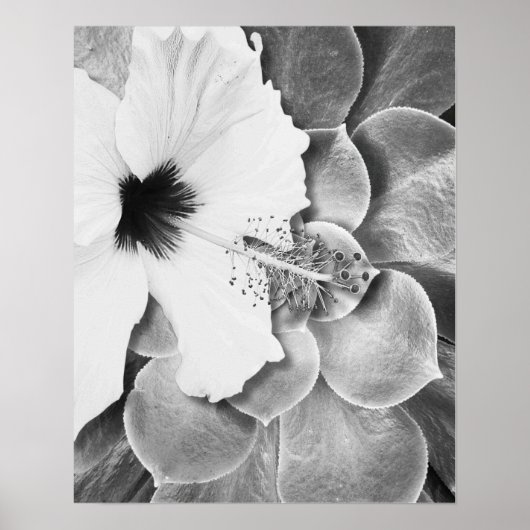 Zwart-Witte Hibiscus Poster (Voorkant)