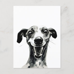 Zwart-witte hippet   Cute Greyhound Briefkaart