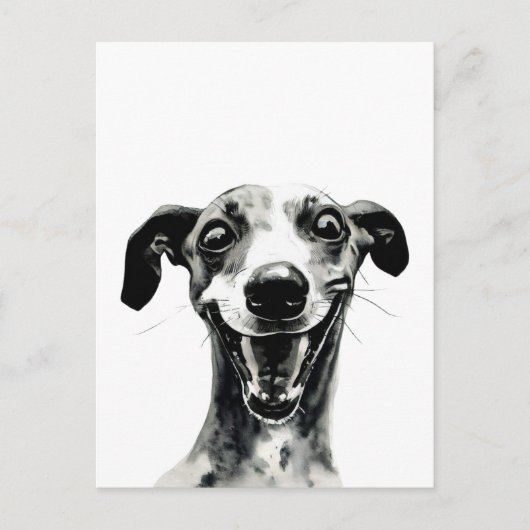 Zwart-witte hippet | Cute Greyhound Briefkaart (Voorkant)
