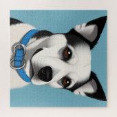 Zwart-witte hond met blauwe halsband legpuzzel (Horizontaal)