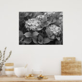 Zwart-witte hortensia's poster (Keuken)
