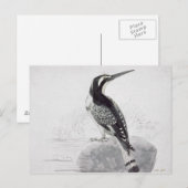 Zwart-witte Ijsvogel Briefkaart (Voorkant / Achterkant)