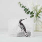 Zwart-witte Ijsvogel Briefkaart (Staand voorkant)
