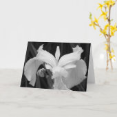 Zwart-witte Iris Kaart (Gele Bloem)