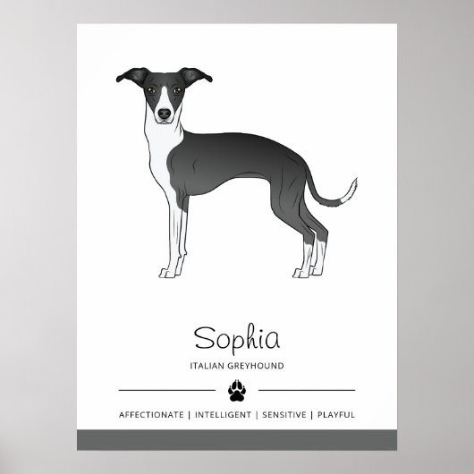 Zwart-witte Italiaanse Windhond Met Aangepaste Tek Poster (Voorkant)
