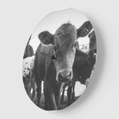 Zwart-witte kalfsklok grote klok (Hoek)