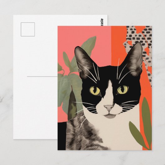 Zwart-witte kat briefkaart (Voorkant / Achterkant)