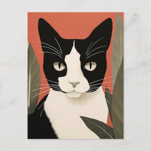 Zwart-witte kat briefkaart (Voorkant)