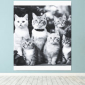 Zwart-witte kat foto kunst canvas afdruk (Insitu (Houten vloer))