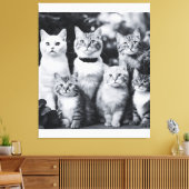 Zwart-witte kat foto kunst canvas afdruk (Insitu (Woonkamer))