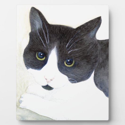 Zwart-witte kat fotoplaat (Voorkant)