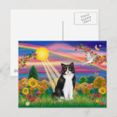 Zwart-witte kat - Herfstzon Briefkaart (Voorkant / Achterkant)