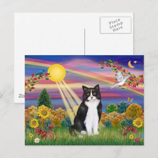 Zwart-witte kat - Herfstzon Briefkaart (Voorkant / Achterkant)