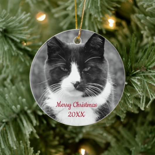 Zwart-witte kat  keramisch ornament (Boom)