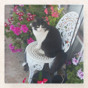 Zwart-witte kat met mooie bloemen Cute Glazen Onderzetter