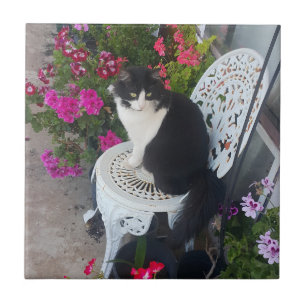 Zwart-witte kat met mooie bloemen tegeltje