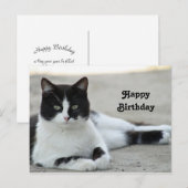 Zwart-witte kat met tuxedo foto verjaardag briefkaart (Voorkant / Achterkant)