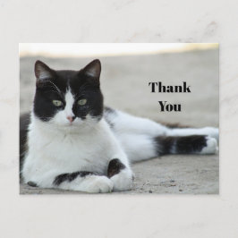 Zwart-witte kat met tuxedofoto bedankt briefkaart