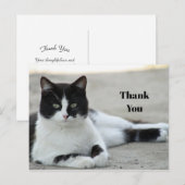 Zwart-witte kat met tuxedofoto bedankt briefkaart (Voorkant / Achterkant)