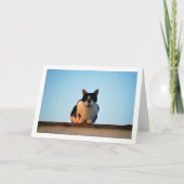 Zwart-witte kat op dak kaart (Voorkant)