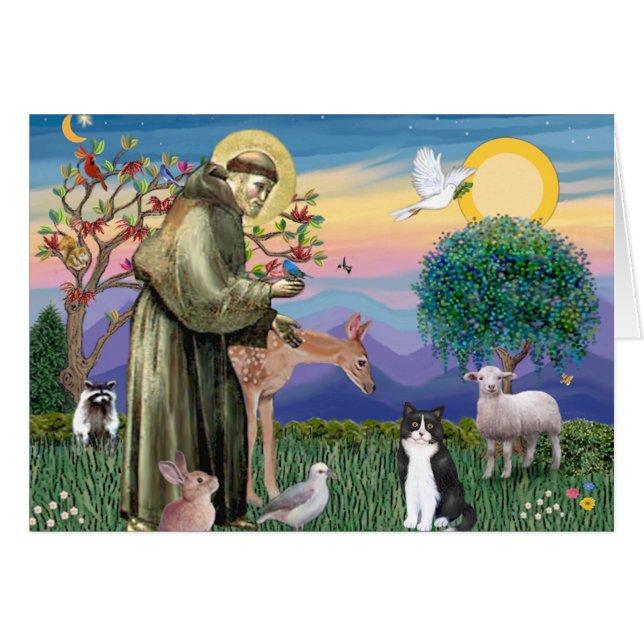 Zwart & Witte Kat - Sint Franciscus (Voorkant Horizontaal)