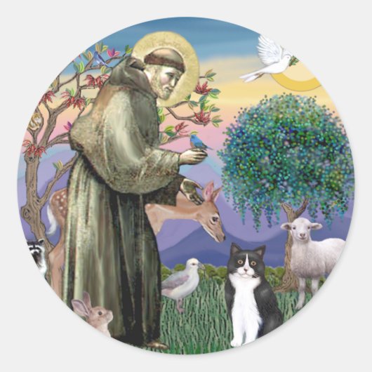 Zwart & Witte Kat - Sint Franciscus Ronde Sticker (Voorkant)