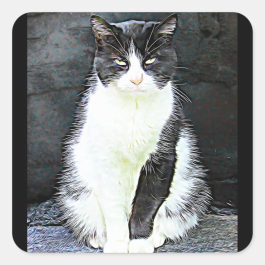Zwart-witte kat Stickers (Voorkant)
