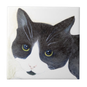 Zwart-witte kat tegeltje