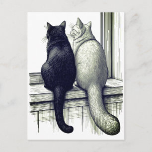 Zwart-witte katten bij het raam briefkaart
