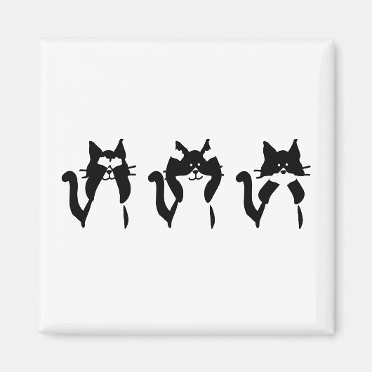 Zwart Witte Katten | Drie Wijze Kitties Magneet (Voorkant)
