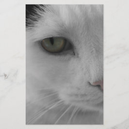 Zwart-witte katten gezicht