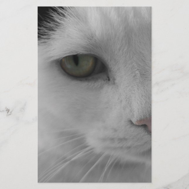 Zwart-witte katten gezicht (Voorkant)