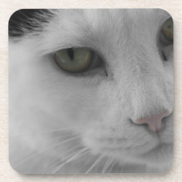 Zwart-witte katten gezicht bier onderzetter