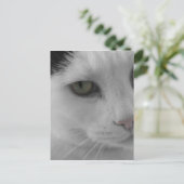 Zwart-witte katten gezicht briefkaart (Staand voorkant)